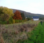 BELLA REAL ponúka na predaj stavebný pozemok 15km od Bratislavy v Hainburgu an der Donau